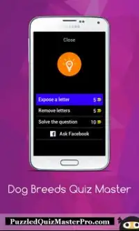 Dog Breeds Quiz Master Screen Shot 3