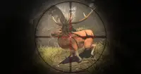 हिरण शिकार 2020 - पशु स्निपर शूटिंग गेम Screen Shot 2