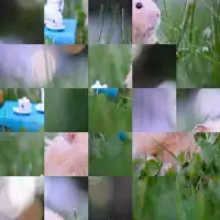 Hamster Puzzle Jigsaw Game Screen Shot 1