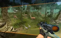 Deer Hunting Sniper Safari - Animals Hunt Screen Shot 5