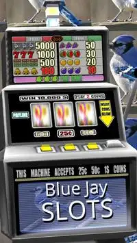 3D Blue Jay Slots - Free Screen Shot 2