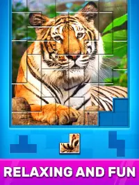 Puzzles: Jigsaw Puzzle Games Screen Shot 13
