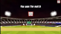 Cricket World Cup online Screen Shot 1