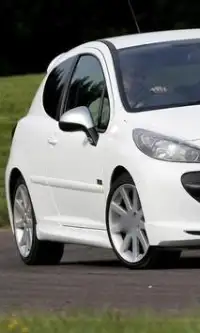 आरा पहेलियाँ Peugeot 207 Screen Shot 2