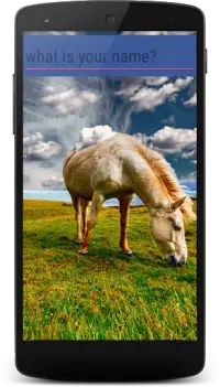 Horses memory game - beautiful photos of horses Screen Shot 3