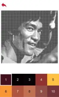 Bruce Lee Color by Number - Pixel Art Game Screen Shot 6