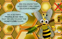 Honey Tina and Bees – Educational Game App Screen Shot 5