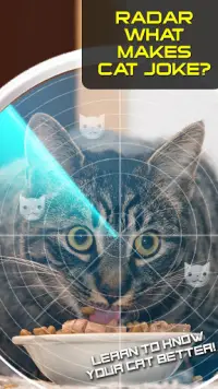 Radar cosa rende Cat Joke Screen Shot 2