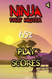 Ninja Fruit Master Screen Shot 1