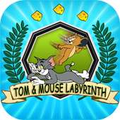 Labyrinth of Tom & Mouse FREE