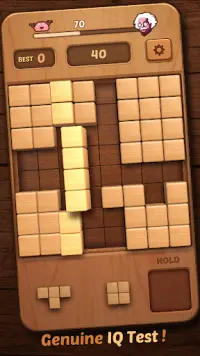 लकड़ी के पहेली - "3D" ब्लॉक Screen Shot 15