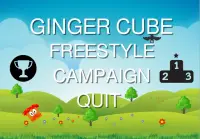 Ginger Cube Game - The edgiest game on the market! Screen Shot 0