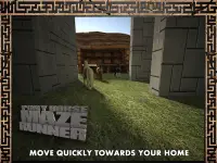 Pony Horse Maze Run Simulator Screen Shot 10