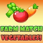 Farm Match Vegetables