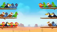 Bird Sort Color- Puzzle Master Screen Shot 2