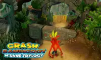 Crash bandicot 3D - N'sane World Run Screen Shot 3