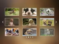 Puppies Jigsaw Puzzles Free Pet Games for Kids Screen Shot 1