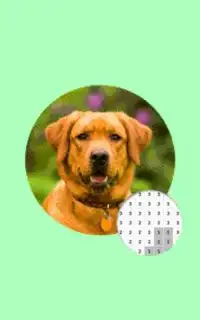 Cão fotografia cor pelo número Pixel Art Screen Shot 4