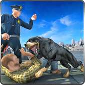 Rottweiler Police Dog Życie