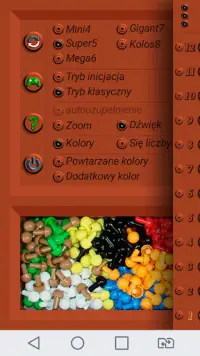 Gra mistrz umysłu logiki Screen Shot 2