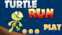 Turtle Run Screen Shot 0