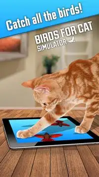 Birds para Cat Simulator Screen Shot 2