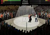 Smash Boxing Screen Shot 2