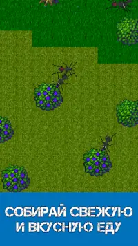 Ant Evolution - симулятор муравей Screen Shot 1