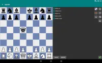 Perfect Chess Database Screen Shot 19