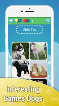 Dog Quiz Adivina nombres de perros ❓🐕⁉🐶❤ Screen Shot 7