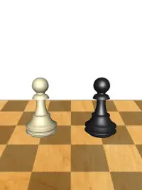Chess 3D Ultimate Screen Shot 11