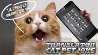 Translator Cat Pet Joke Screen Shot 2