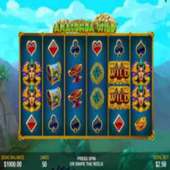 Free Casino Reel Game - ANAKONDA WILD