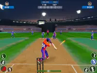 Bat & Ball: Play Cricket Games Screen Shot 8