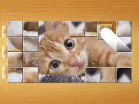 Cat Puzzles - Drag & Swap Screen Shot 14