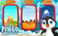 Pingo The Little Penguin Screen Shot 1