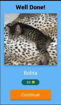 Cat Breeds Quiz - Guess the Cat Breed Screen Shot 2