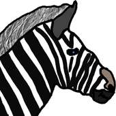 Zebra Runner