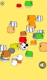 Touch and Play! Hamster Farm Screen Shot 1