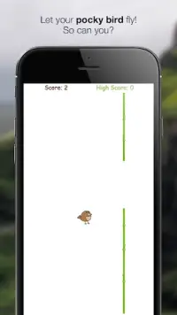 Pocky Bird Screen Shot 4