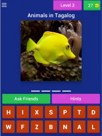 Animals Quiz Game (Learn Filipino Language) Screen Shot 11