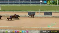 Pick Horse Racing Screen Shot 5