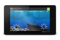 Wonder Fish Giochi Gratuiti HD Screen Shot 9