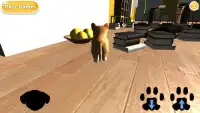 Cute Puppy Sim Screen Shot 1