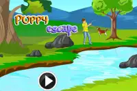Escape Game-Puppy Escape Screen Shot 0