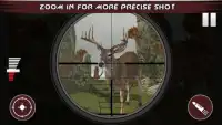 Forest Animal Shooting Adventure Screen Shot 3