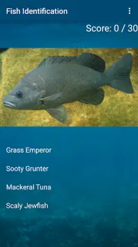 Fish Identification Game Screen Shot 1