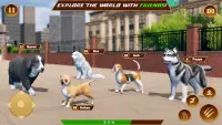 Dog Simulator: Family Of Dogs Screen Shot 5