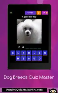 Dog Breeds Quiz Master Screen Shot 8