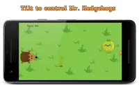 Hedgehogs Screen Shot 1